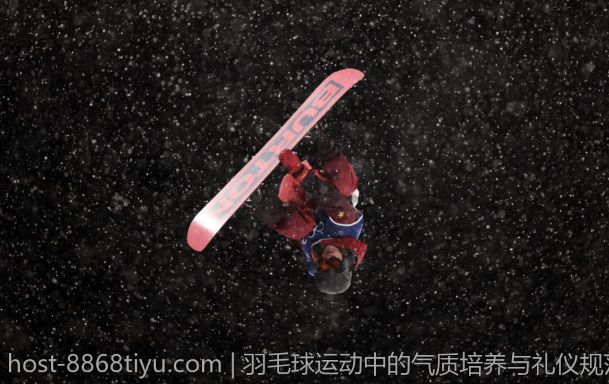 羽毛球运动中的气质培养与礼仪规范